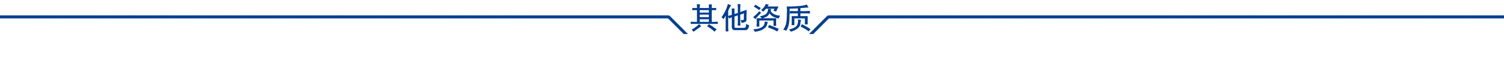 其他资质